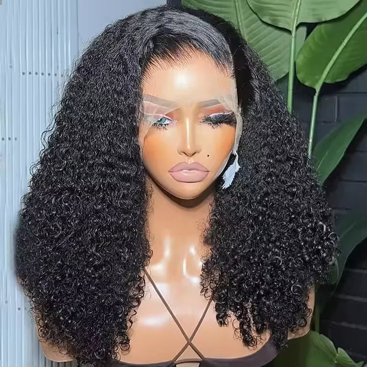 HD Lace Front Wig: Premium Human Hair for Natural Look