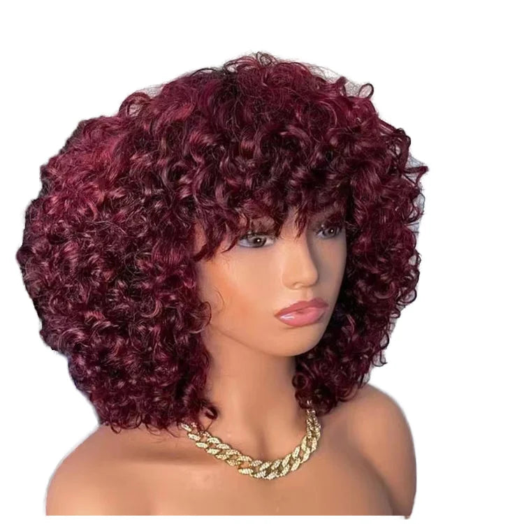 Buy Virgin Brazilian Curly Hair Wig - Premium Quality Raw Human Hair